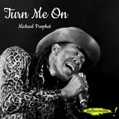 Turn Me On - Single by Michael Prophet album reviews, ratings, credits