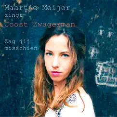 Zag Jij Misschien - Single by Maartje Meijer album reviews, ratings, credits