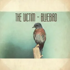 Bluebird - Single by The Victim album reviews, ratings, credits