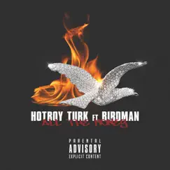 All the Money (feat. Birdman) - Single by Hot Boy Turk album reviews, ratings, credits