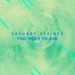 Too Much to Ask (The ShareSpace Australia 2017) Song Lyrics