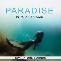 Paradise in Your Dreams: Spa Nature Sounds for Deep Relaxation, Natural Therapy & Magic Sleep by Unforgettable Paradise SPA Music Academy album reviews, ratings, credits