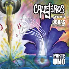 Concierto Obras 30 y 31 Julio, Parte Uno (En Vivo) by Callejeros album reviews, ratings, credits
