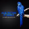 Wilde Rhythms of Animals: 50 Tracks, Amazing Sounds to Create Your Private Jungle at Home, Zen Spa & Deep Relaxation album lyrics, reviews, download
