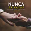 Nunca Te Vayas (feat. Melodico & MR. Don) - Single album lyrics, reviews, download