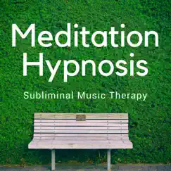 Meditation Hypnosis - Subliminal Music Thrapy for Stress Release by Hypnotherapy album reviews, ratings, credits