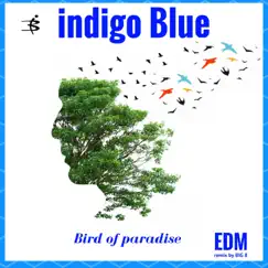 Bird of Paradise (Big 8 Edm Remix) - Single by Indigo blue album reviews, ratings, credits