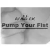 Pump Your Fist - Single album lyrics, reviews, download