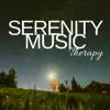 Serenity Music Therapy - Deep Sleep Therapy with Sounds of Nature, Soundscapes album lyrics, reviews, download