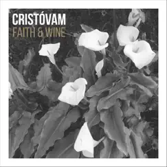 Faith & Wine - Single by Cristóvam album reviews, ratings, credits