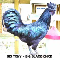 Big Black Chick - Single by Big Tony & Zief album reviews, ratings, credits