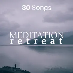 Meditation Retreat - 30 Songs by Pink Buddha album reviews, ratings, credits