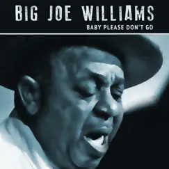 Baby Please Don't Go by Big Joe Williams album reviews, ratings, credits