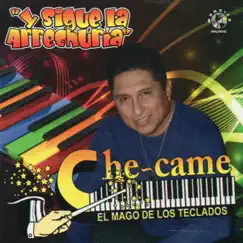 Y Sigue la Arrechura by Che Came El Mago de los Teclados album reviews, ratings, credits