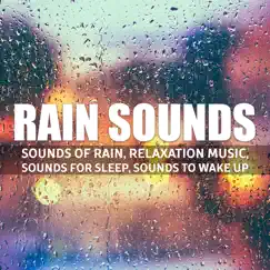 It's in the Rain Song Lyrics