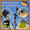 Relaxing Sounds Created by Nature, Spring, Vol. 3 album lyrics, reviews, download