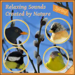 Relaxing Sounds Created by Nature, Spring, Vol. 3 by Nature Sounds Vidobia album reviews, ratings, credits