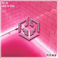Not 4 You - Single by Tc-5 album reviews, ratings, credits