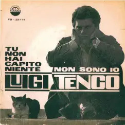 Tu non hai capito niente / Non sono io - Single by Luigi Tenco album reviews, ratings, credits