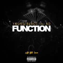 Function (feat. A.D.) - Single by Young Blacc album reviews, ratings, credits