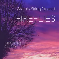 Fireflies Song Lyrics