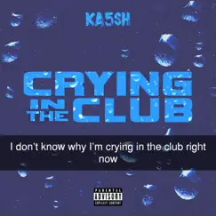 Crying In the Club Song Lyrics