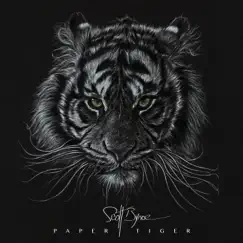 Paper Tiger Song Lyrics