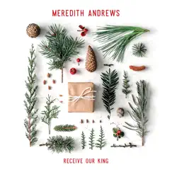 Receive Our King by Meredith Andrews album reviews, ratings, credits