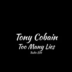 Too Many Lies (Radio Edit) Song Lyrics