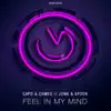 Feel In My Mind - Single album lyrics, reviews, download