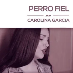 Perro fiel Song Lyrics