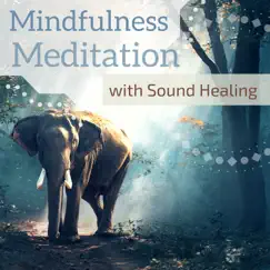 Mindfulness Meditation with Sound Healing - 80 Songs for Healing Anxiety & Inner Peace by Amazing Sounds & Mindfulness album reviews, ratings, credits