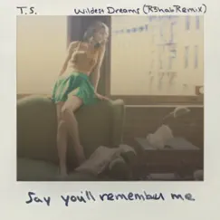 Wildest Dreams (R3hab Remix) Song Lyrics