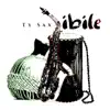 Ibile - Single album lyrics, reviews, download