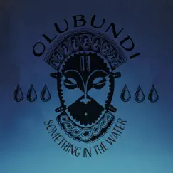 Something in the Water - Single by Olubundi album reviews, ratings, credits