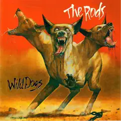 Wild Dogs Song Lyrics