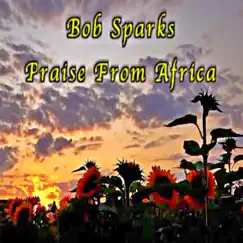 Praise from Africa (Remix) - Single by Bob Sparks album reviews, ratings, credits