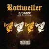 Rottweiler - Single album lyrics, reviews, download