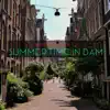 Summertime in Dam - Single album lyrics, reviews, download