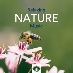 Rainfall (Nature Sound) Song Lyrics