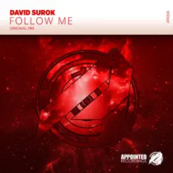 Follow Me - Single by David Surok album reviews, ratings, credits