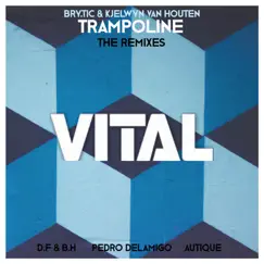 Trampoline (Pedro Delamigo Remix) Song Lyrics