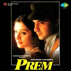 Prem (Original Motion Picture Soundtrack) by Laxmikant-Pyarelal album reviews, ratings, credits