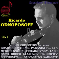 Violin Concerto No. 2 in E Major, BWV 1042: I. Allegro Song Lyrics