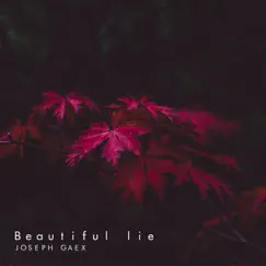 Beautiful Lie - Single by Joseph Gaex album reviews, ratings, credits