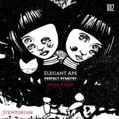 Perfect Symmetry - Single by Elegant Ape album reviews, ratings, credits
