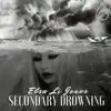 Secondary Drowning (Remix) [Radio Edit] - Single album lyrics, reviews, download