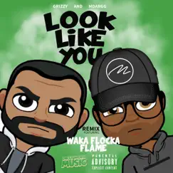 Look Like You (feat. Waka Flocka & M Dargg) [Brick Squad Remix] Song Lyrics