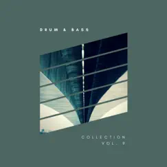 Sliver Recordings: Drum & Bass, Collection, Vol. 9 by Various Artists album reviews, ratings, credits