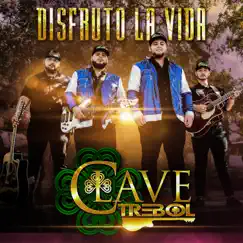 Disfruto La Vida - Single by Clave Trébol album reviews, ratings, credits